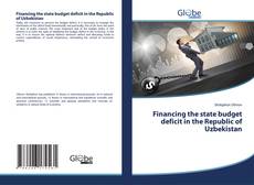 Buchcover von Financing the state budget deficit in the Republic of Uzbekistan