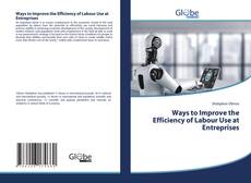 Buchcover von Ways to Improve the Efficiency of Labour Use at Entreprises