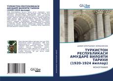 Copertina di ТУРКИСТОН РЕСПУБЛИКАСИ АМУДАРЁ ВИЛОЯТИ ТАРИХИ (1920-1924 йиллар)