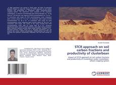 Copertina di STCR approach on soil carbon fractions and productivity of clusterbean