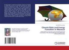 Copertina di Climate Risks and Energy Transition in Morocco