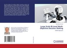 Copertina di Large Scale Bi-Level Multi-Objective Decision Making