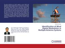 Buchcover von Identification of Blind Digital Modulation in Multiple-Antenna Systems
