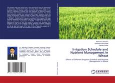 Irrigation Schedule and Nutrient Management in Wheat kitap kapağı