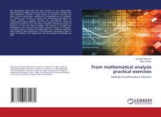 Buchcover von From mathematical analysis practical exercises