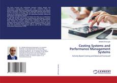 Costing Systems and Performance Management Systems kitap kapağı