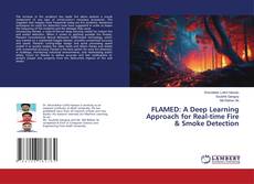 FLAMED: A Deep Learning Approach for Real-time Fire & Smoke Detection kitap kapağı