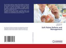 Buchcover von Soft Palate Defects and Management