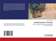 Обложка HUMAN RIGHTS IN ISLAM