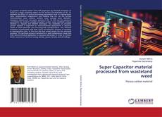 Copertina di Super Capacitor material processed from wasteland weed