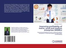 Copertina di Improving profitability of macro, small and medium enterprises (MSMEs)