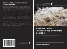 Portada del libro de Víctimas de las inundaciones de febrero de 2014
