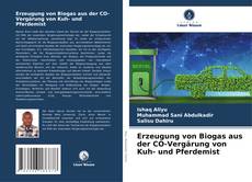 Portada del libro de Erzeugung von Biogas aus der CO-Vergärung von Kuh- und Pferdemist