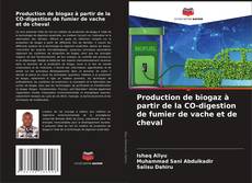 Обложка Production de biogaz à partir de la CO-digestion de fumier de vache et de cheval