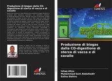 Bookcover of Produzione di biogas dalla CO-digestione di sterco di vacca e di cavallo