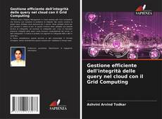 Обложка Gestione efficiente dell'integrità delle query nel cloud con il Grid Computing