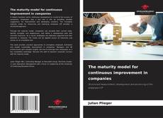 Bookcover of The maturity model for continuous improvement in companies