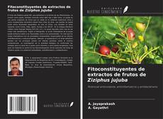 Copertina di Fitoconstituyentes de extractos de frutos de Ziziphus jujuba