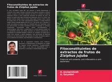 Buchcover von Fitoconstituintes de extractos de frutos de Ziziphus jujuba