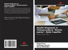 Bookcover of Health Diagnosis in Telesecundaria "Benito Juárez", Ejido Copalita