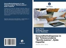 Gesundheitsdiagnose in der Telesecundaria "Benito Juárez", Ejido Copalita kitap kapağı