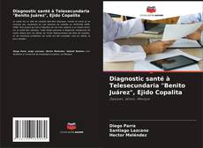 Capa do livro de Diagnostic santé à Telesecundaria "Benito Juárez", Ejido Copalita 