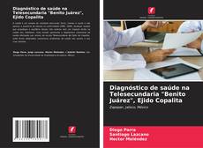 Borítókép a  Diagnóstico de saúde na Telesecundaria "Benito Juárez", Ejido Copalita - hoz