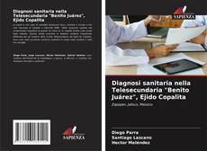 Portada del libro de Diagnosi sanitaria nella Telesecundaria "Benito Juárez", Ejido Copalita