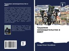 Bookcover of Трудовое законодательство и НИКТ