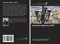 Derecho laboral y NTIC kitap kapağı