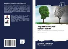 Bookcover of Управленческая негэнтропия