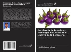 Capa do livro de Incidencia de insectos y enemigos naturales en el cultivo de la berenjena 