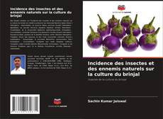 Couverture de Incidence des insectes et des ennemis naturels sur la culture du brinjal