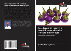 Couverture de Incidenza di insetti e nemici naturali sulla coltura del brinjal