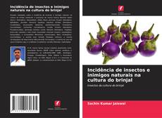 Buchcover von Incidência de insectos e inimigos naturais na cultura do brinjal