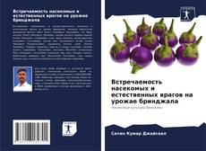 Bookcover of Встречаемость насекомых и естественных врагов на урожае бринджала