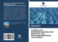 Capa do livro de Inzidenz von Antibiotikaresistenz bei Bakterien, die Harnwegsinfektionen verursachen 