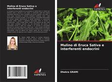Copertina di Mulino di Eruca Sativa e interferenti endocrini