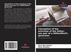 Bookcover of Calculation of the activities of the father-son pair of a 99Mo/99mTc generator