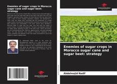 Portada del libro de Enemies of sugar crops in Morocco sugar cane and sugar beet: strategy