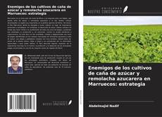 Enemigos de los cultivos de caña de azúcar y remolacha azucarera en Marruecos: estrategia的封面