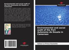 Environmental and social audit of the Port Autonome de Douala in Cameroon kitap kapağı