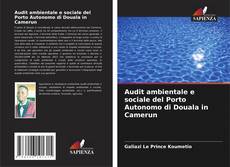 Audit ambientale e sociale del Porto Autonomo di Douala in Camerun kitap kapağı