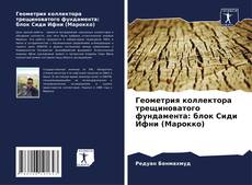 Bookcover of Геометрия коллектора трещиноватого фундамента: блок Сиди Ифни (Марокко)