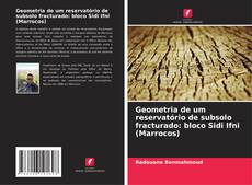 Geometria de um reservatório de subsolo fracturado: bloco Sidi Ifni (Marrocos) kitap kapağı