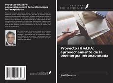 Borítókép a  Proyecto (H)ALFA: aprovechamiento de la bioenergía infraexplotada - hoz