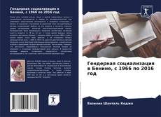 Гендерная социализация в Бенине, с 1966 по 2016 год kitap kapağı