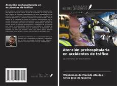 Atención prehospitalaria en accidentes de tráfico的封面