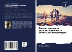 Анализ политики удовлетворенности отеля Kadiandoumagne kitap kapağı