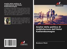 Bookcover of Analisi della politica di soddisfazione dell'Hotel Kadiandoumagne